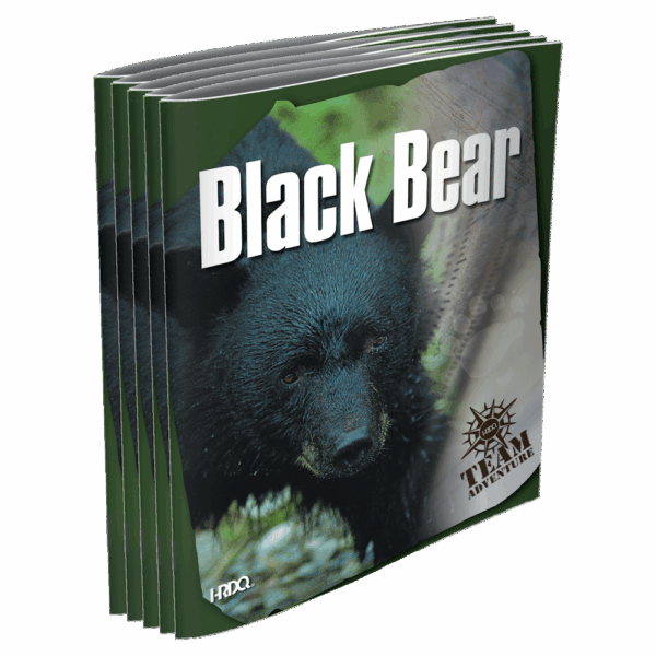 Black Bear - HRDQ