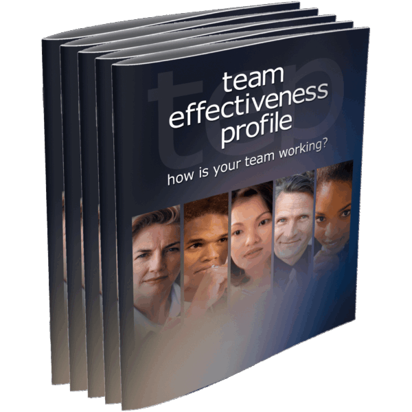 Team Effectiveness Profile | HRDQ
